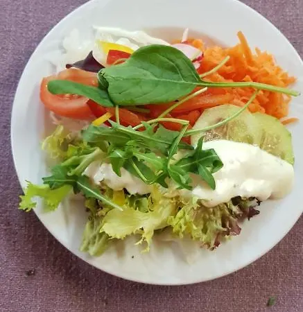 Hotel-restaurant Wilhelmsbad מלון