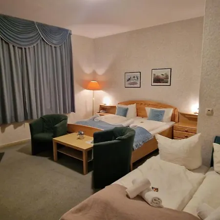 Hotel Hotel-restaurant Wilhelmsbad 3*