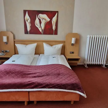Hotel-restaurant Wilhelmsbad Hotel Seesen